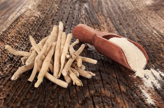 Little-known 10p herb that reduces anxiety and improves sleep!